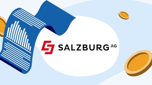 Salzburg AG Strompreis