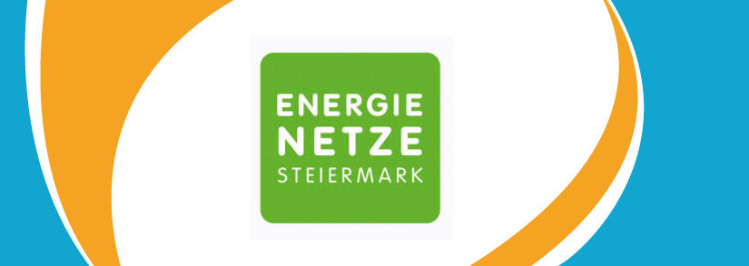 Energienetze Steiermark logo