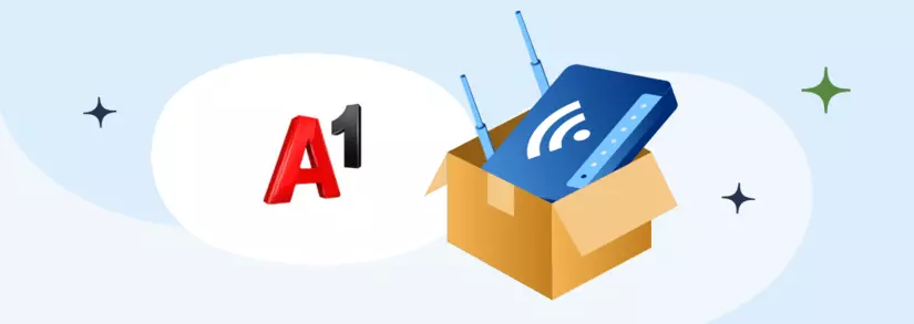 A1 Router in einer Umzugsbox